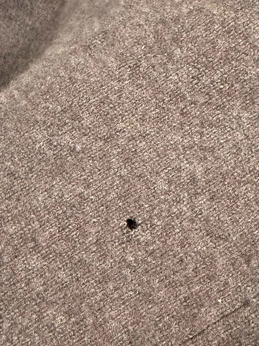 Banana Republic Shawl Collar Merino Sweater